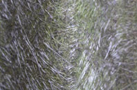 Machrie fibreglass roof work